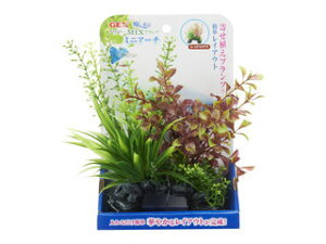 GEX WFbNX i MIXvc ~jA[` bh^