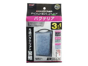 GEX WFbNX oNeAp[}bg L 3+1N