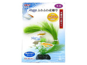 GEX WFbNX _Ji ӂӂY ~