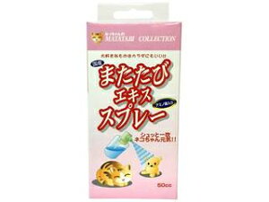 XR ݂z|ƕ ܂ GLXXv[ 50cc