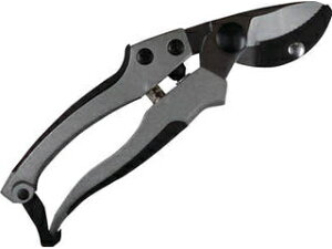 DAISHIN i EG A~_CLXg Ar^ 502136