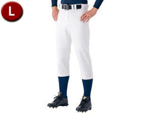 SSK GXGXPC Q[pj[M[pc (10)zCg/L UP017