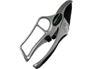 DAISHIN i EG `FbgDX 502372