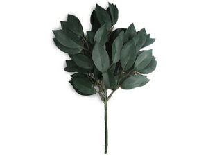 SHIZUOKA É؍H 201551 呢