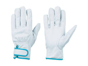 Simon V {v CG717 SSTCY