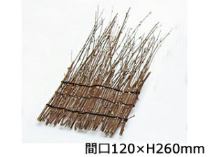 �┋������i�������j 05162�@120×260