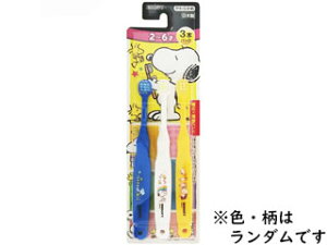 EBiSU GrX quV Xk[s[ 2`6 3{pbN 炩 B-6361