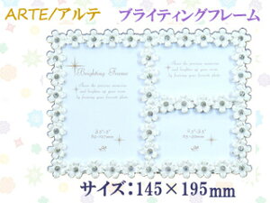 ARTE Ae uCeBOt[ 21 BR-21-IV (TCYF145×195mm) yʐ^āzytHgt[zy킢zyu^z