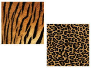 ARTE Ae 肪݁@2×10 v20@QA-12 @yTCYF150×150mmz ywagamizycraftzyAWzyorigamiz