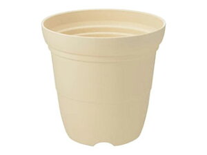 Richell b`F Ђ nC|bg 6 x[W