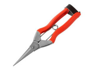 KOBAYASHI ѐ yKoshiji/zHzXeXE 185mm S-1