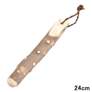 MARUJYU ۏ\ 񂵂傤 肱_ ^24cm