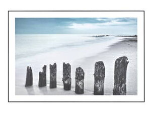 J ROOM ESSENCE A[gpl ART-199K  [J[ s J[hς̂ݑΉ EkCE͂тɎԎws