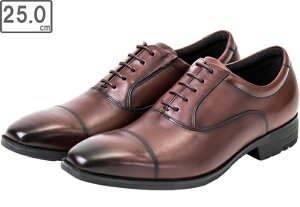 �A�V�b�N�X���� �y�����Y�z�r�W�l�X�V���[�Y texcy luxe/�e�N�V�[�����N�X�y3E�zTU-7010