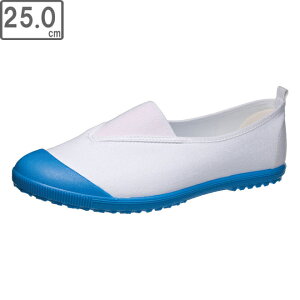 ASAHI ATqV[Y AHSF 20VK 25.0cm Rog KD38024