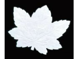 artec A[ebN ԍRۘat^lG200^݂@LF|M