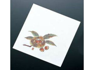 artec A[ebN j[lG5100^NS|13@I