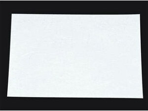 artec A[ebN ڎO@΂܂Ɓ@RۉԘa(100)WSA|02@n