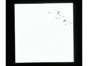 artec A[ebN ԍRۘaԂ݉~200^@߁@W4|9