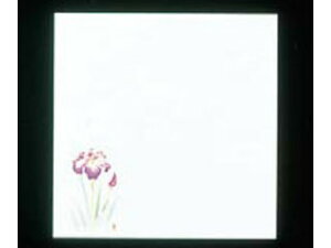 artec A[ebN ԍRۘaԂ݉~200^@߁@W5|4