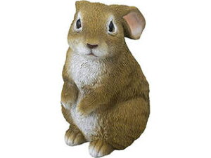 SAVE �Z�[�u�E�C���_�X�g���[ �Z�[�u�E�C���_�X�g���[ �Z�[�u�C���_�X�g���[ �~�j������ C3038094