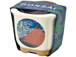 SEISHIN V| JAPAN~ ԕxm  GD-64004