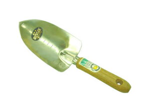 ASAKA 󍁍H ۈ FG XeX ڐARe 