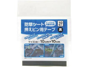 Dio/_CI hV[gspe[v  10cmX10cm 10 252485