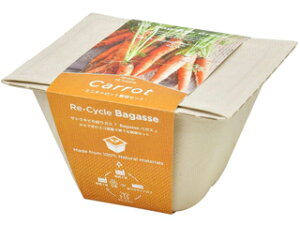 SEISHIN V| GD-95302 oKXO[ ~jLbg