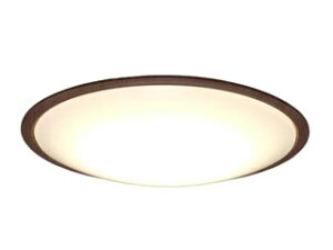 u[J[݌ɌI͂߂ɁIv IRIS OHYAMA ACXI[} CL12DL-5.11WFV-M(EH[ibg)LEDV[OCg 5.11Ebht[`12FRt