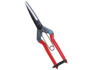 CHIKAMASA ߐ {E|p@@T|700