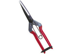 CHIKAMASA ߐ  ےn  T-701