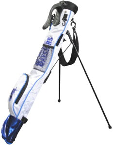 LEZAX/UbNX lDeNAxCX^[Y EhX^hobO zCg YBCC-3413