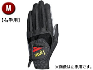 LEZAX/UbNX NX StO[u(Ep) MTCY ubN LXGL-8659