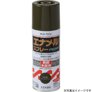 SUNDAY PAINT �T���f�[�y�C���g �G�i�����X�v���[ exceed ��F 300ml