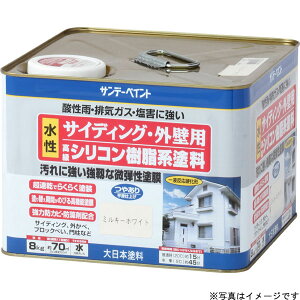 SUNDAY PAINT �T���f�[�y�C���g �O�ǐ����V���R�������h�� �� 8K