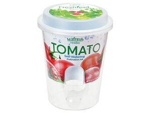 SEISHIN V| GD-81906 tbVtB[ ~jg}g