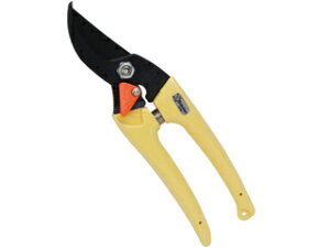 Saboten T{e fB[X CG[