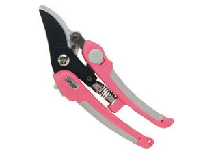 Saboten T{e yؙ p NO.1371