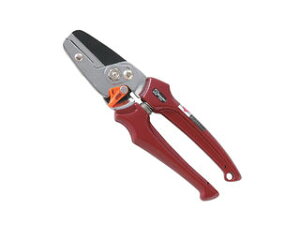 Saboten T{e  i؂j EX-5