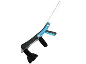 Saboten T{e y؋X|X No.2570