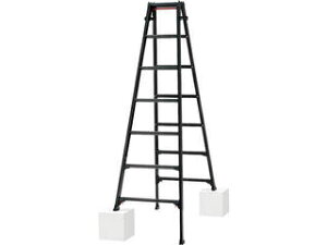 Hasegawa/JH nVSpLkr(ubN[x)RYZB-21(10140)