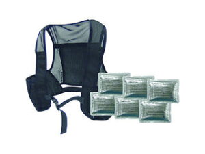 J.G.C. {Ώ\ MǗ\h΍pi s^bƗpxXg \ۗܕt ubN t[TCY 375664