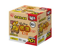 IRIS OHYAMA アイリスオーヤマ 290594 ほんわか低温カイロミニ 30個入り