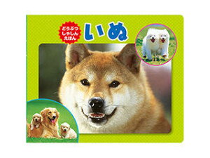 COSMOS COSMOS RXX ʐ^ق  CSS62371