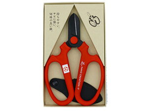 sakagen ⌹ nhNG[V F170 n bh  #9142