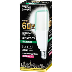 YAZAWA YAZAWA T`LED 60W` E17 F LDT8NGE17