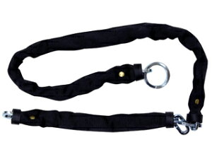 WAKI aCY hƐ؂܃`FC IB-149