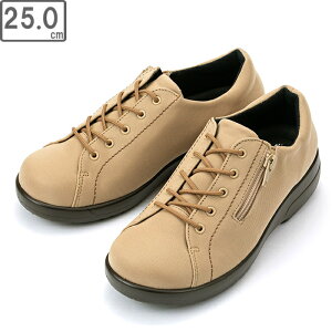 ASAHI ATqV[Y yfB[XzgbvhC 3990 yx[Wzy25.0cmE3EzSAebNX h Xj[J[ { hE H ӂJbvC\[ Z~bN\[ O