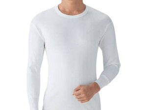 GUNZE/�O���[ ���炩���������ێ�2���g L�T�C�Y SV6108A-L